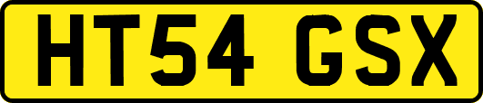 HT54GSX