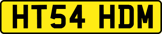 HT54HDM