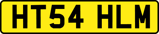 HT54HLM