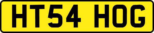 HT54HOG