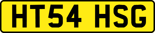 HT54HSG