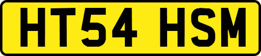 HT54HSM