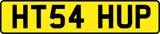 HT54HUP