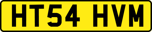HT54HVM