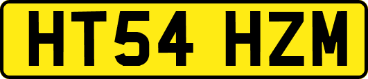 HT54HZM