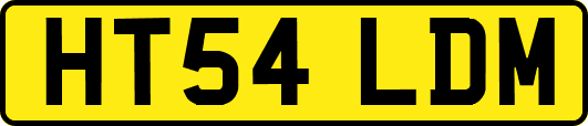 HT54LDM