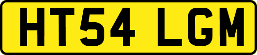 HT54LGM