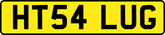 HT54LUG