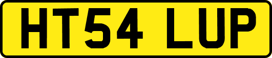 HT54LUP