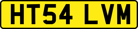 HT54LVM