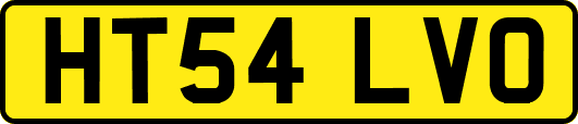 HT54LVO