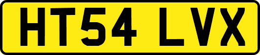 HT54LVX