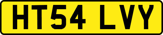 HT54LVY