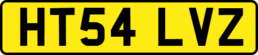 HT54LVZ