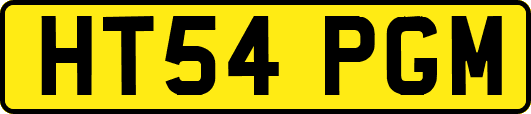 HT54PGM