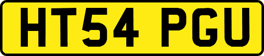 HT54PGU