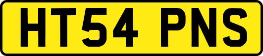 HT54PNS