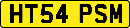 HT54PSM