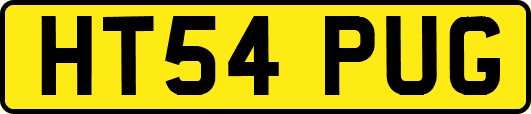 HT54PUG