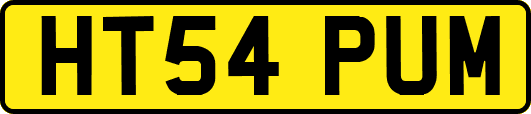 HT54PUM