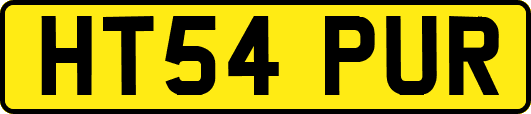 HT54PUR