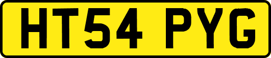 HT54PYG