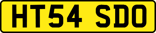 HT54SDO