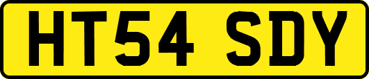 HT54SDY