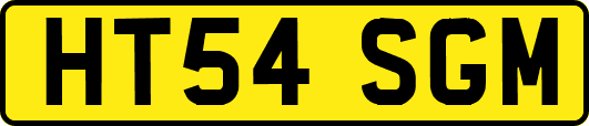 HT54SGM