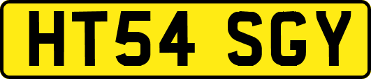 HT54SGY