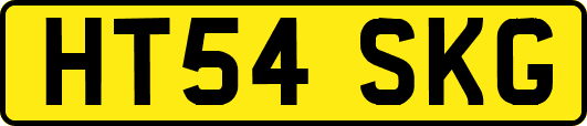 HT54SKG