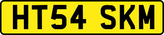 HT54SKM