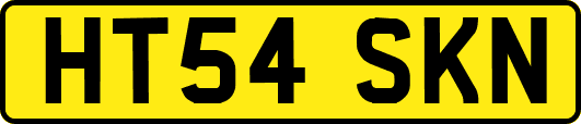 HT54SKN