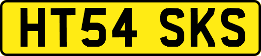 HT54SKS
