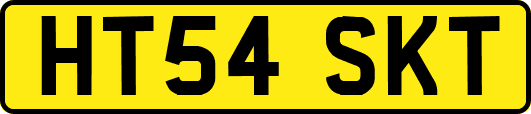 HT54SKT