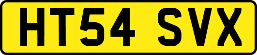HT54SVX