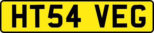 HT54VEG