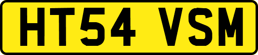HT54VSM
