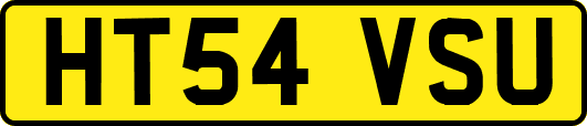 HT54VSU