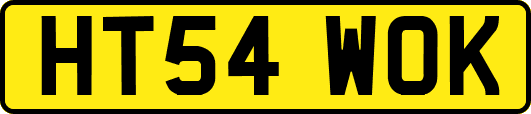 HT54WOK