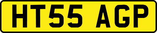 HT55AGP