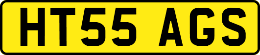 HT55AGS