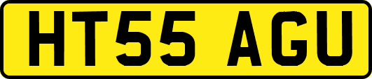 HT55AGU