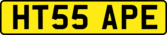 HT55APE