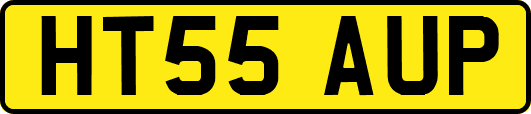 HT55AUP