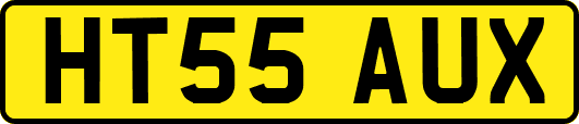 HT55AUX