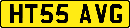 HT55AVG
