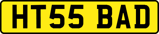 HT55BAD