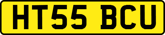 HT55BCU