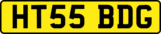 HT55BDG